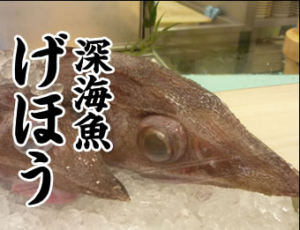 深海魚げほう