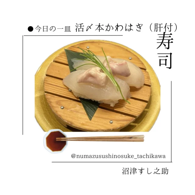 <本日の地魚>
⁡
〇本かわはぎ
⁡
本日、本かわはぎが入荷しております。上品な甘みの本かわはぎに、濃厚な肝を添えた贅沢な一貫。口の中で広がる旨みをぜひご堪能ください。